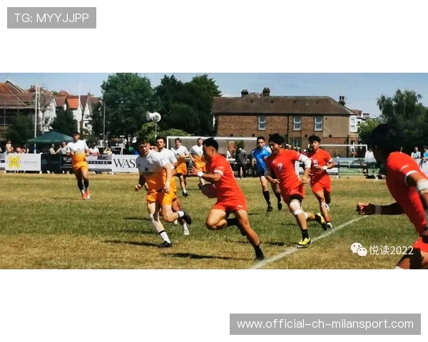 黑衫军七人制橄榄球技术细节获专家赞扬